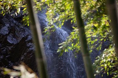 黑色卡牌游戏《邪恶冥刻》 今日在NS平台发售