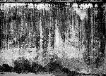 玩家热议千禧年多款南国风情游戏 背后原因无责任推测